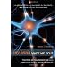 My Brain Made Me Do It: The Rise of Neuroscience and the Threat to Moral Responsibility