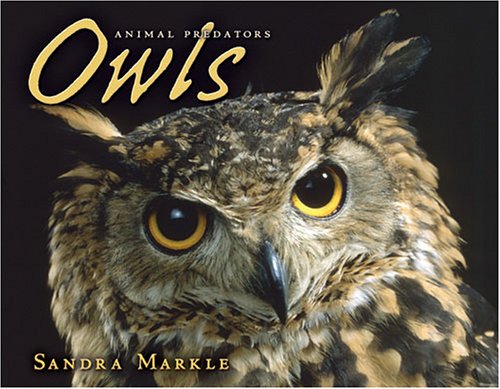 Owls (Animal Predators)
