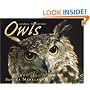Owls (Animal Predators)