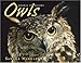 Owls (Animal Predators)