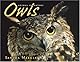 Owls (Animal Predators)