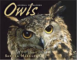 Owls (Animal Predators)