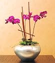 Silver Leaf Orchid Vase (Silver Leaf)