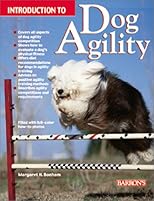 Introduction to Dog Agility
