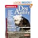Introduction to Dog Agility