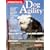 Introduction to Dog Agility