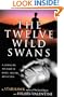 The Twelve Wild Swans: A Journey to the Realm of Magic, Healing, and Action