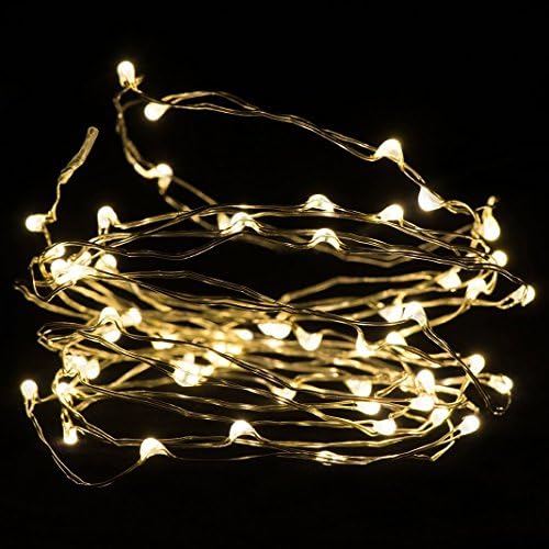 Tumtung 12V 50ft 150 Leds Waterproof Flexible Copper Wire LED String Light with Wireless Remote Control Dimmer, Holiday Decorative LED Lights for Outdoor and Indoor (Warm White)