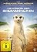 Produkt-Bild: Die K&ouml;nigin der Erdm&auml;nnchen