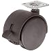 E.R. Wagner Plate Caster, Hooded Twin Swivel with Brake, Nylon Wheel