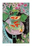 Goldfish Art Poster Print by Henri Matisse, 20x28