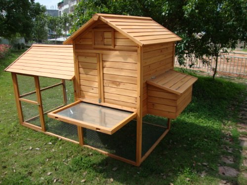 COCOON CHICKEN COOP HEN HOUSE POULTRY ARK NEST 