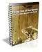 Taking Care of Your Iguana: The Complete Iguana Care Guide