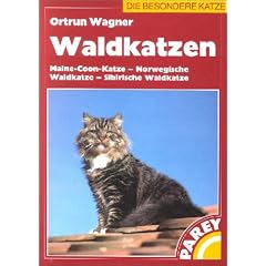 Waldkatzen