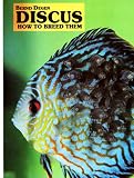 Discus: How to Breed Them