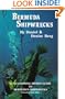 Bermuda Shipwrecks: A Vacationing Diver's Guide to Bermuda's Shipwrecks