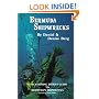 Bermuda Shipwrecks: A Vacationing Diver's Guide to Bermuda's Shipwrecks