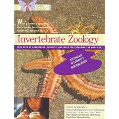 Invertebrate Zoology (Real Kids/Real Science Books)