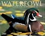 Waterfowl of North America 2005 Calendar