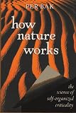 How Nature Works: The Science of Self-Organized Criticality