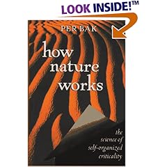 how nature works: The Science of Self-Organized Criticality (Copernicus)