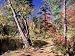 Fall Foliage, Wildlife Sanctuary, Pittsfield, MA Photographic Poster Print by Steven ...