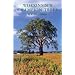 Wisconsin's Champion Trees: A Tree Hunter's Guide