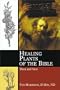 Healing Plants of the Bible: Their Uses Then and Now