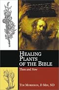 Healing Plants of the Bible: Their Uses Then and Now