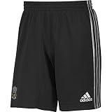 Adidas Liverpool Mens LFC Training Shorts Grey/Silver