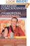 Everyday Consciousness and Primordial Awareness