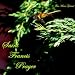 Search : St Francis Prayer