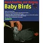 Handfeeding and Raising Baby Birds