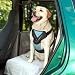 Bergan Dog Auto Harness with Tether, Large