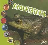 Amphibians (What Is an Animal? Discovery Library)