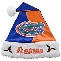 Florida Gators Mistletoe Santa Hat