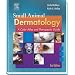 Small Animal Dermatology: A Color Atlas and Therapeutic Guide