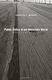 Public Policy in an Uncertain World: Analysis and Decisions