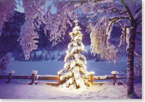 Illuminated Tree Holiday Boxed Cards (Christmas Cards, Holiday Cards, Greeting Cards) (Small Holiday Card Series)