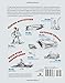 The American Boy's Handy Book: Build a Fort, Sail a Boat, Shoot an Arrow, Throw a Boomerang, Catch Spiders, Fish in the Ice, Camp w