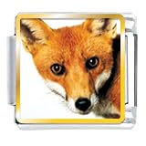 Red Fox Animal Photo Italian Charms Bracelet Link