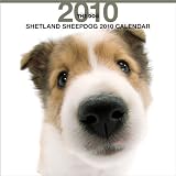 THE DOG シェットランド・シープドッグ 2010年 カレンダー