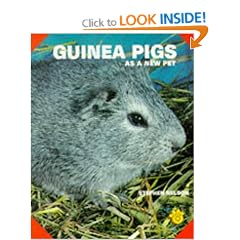 Guinea Pigs as a New Pet