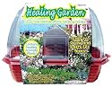 Healing Garden - Grow Your Own Aromatherapy Garden!