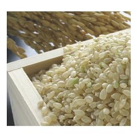 �y���������z23�N�Y�X�����郍�}���P������30kg