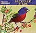 Backyard Birds National Geographic 2016 Wall Calendar