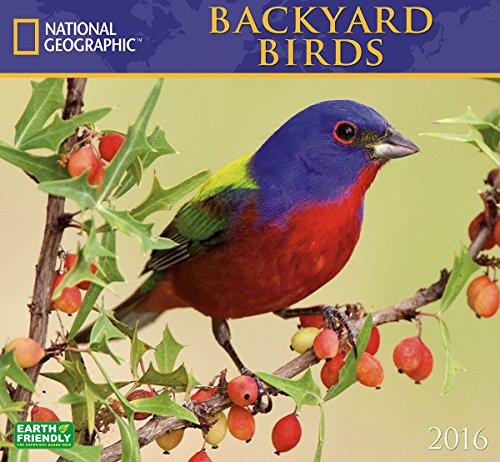 Backyard Birds National Geographic 2016 Wall Calendar
