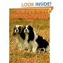 Cavalier King Charles Spaniels Today