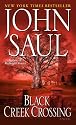 Black Creek Crossing: A Novel