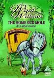 The Wind in the Willows - the Home Sick Mole and 5 Stories [DVD]
